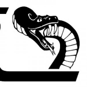 Viper Thermal Imaging Logo